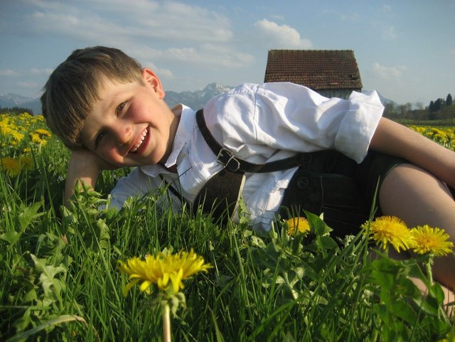 Junge in Lederhose auf Löwenzahnwiese im Frühling im Allgäu