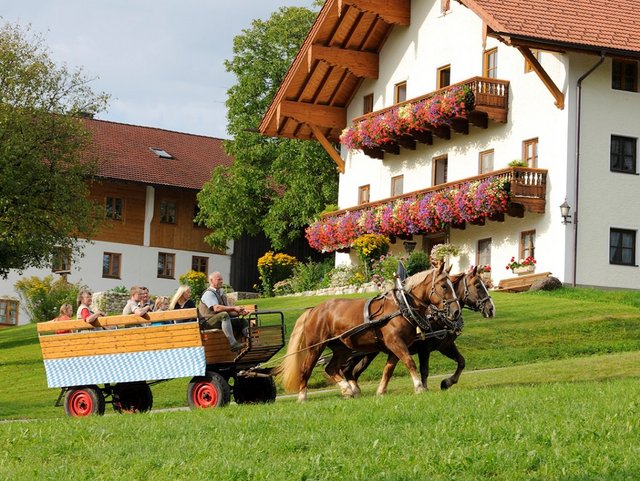 Kutschfahrt auf dem Bauernhof in der Region Chiemsee