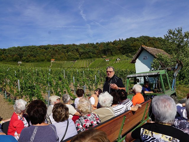 Schmittn-Hof Weinbergführung 