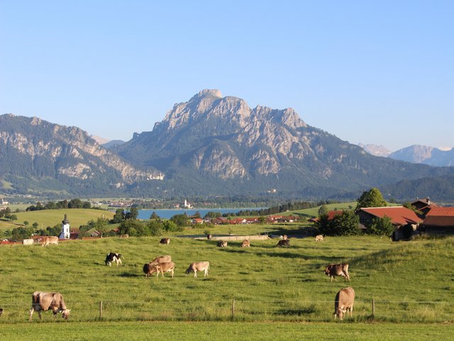 Idyllische Lage mit Blick auf den Forggensee in Bayern