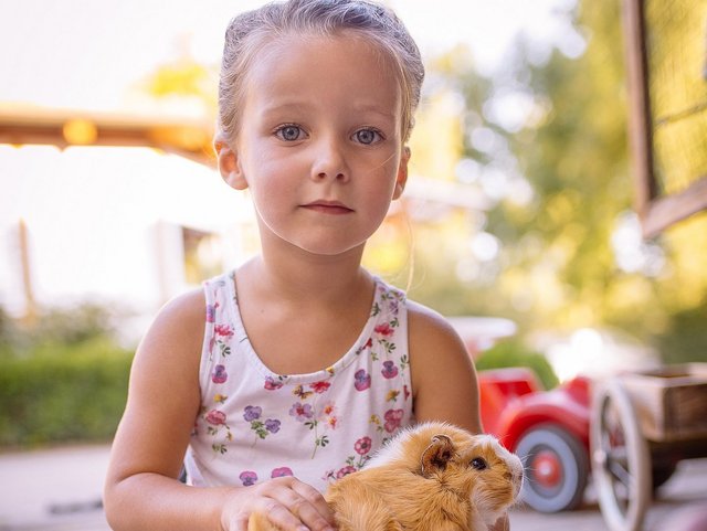 Mädchen mit Meerschweinchen auf dem Ferienhof Sonnengarten in Gunzenhausen