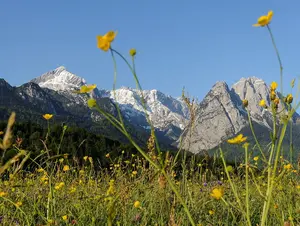 Gletscher © Bayerisches Alpenland Gletscher