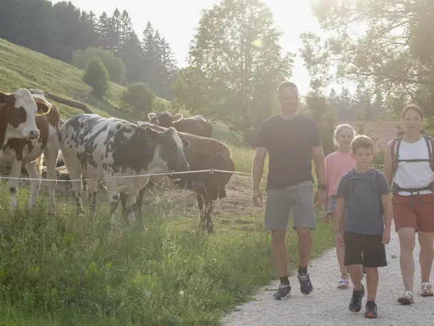 Wanderungen direkt ab Alm © Andreas Kern Beste Lage für Wanderungen direkt von der Alm