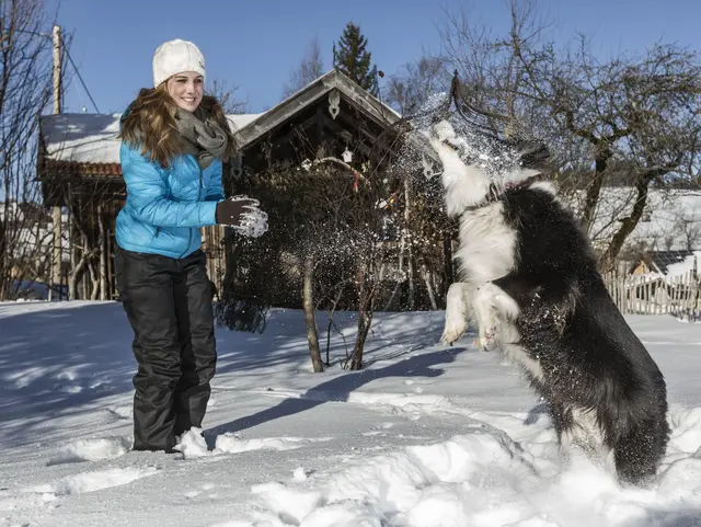 Winterurlaub mit dem Hund in Bayern