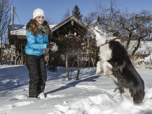 Winterurlaub mit dem Hund in Bayern