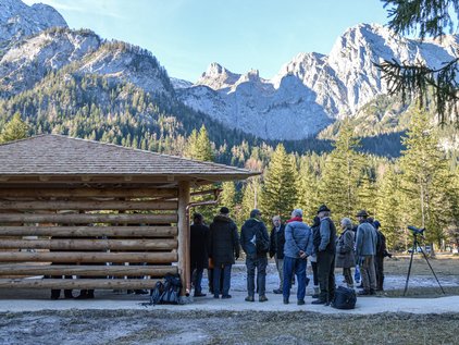 Besuchergruppe bei der Adlerbeobachtung Klausbachtal
