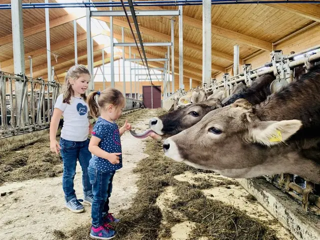 Tiere kennenlernen