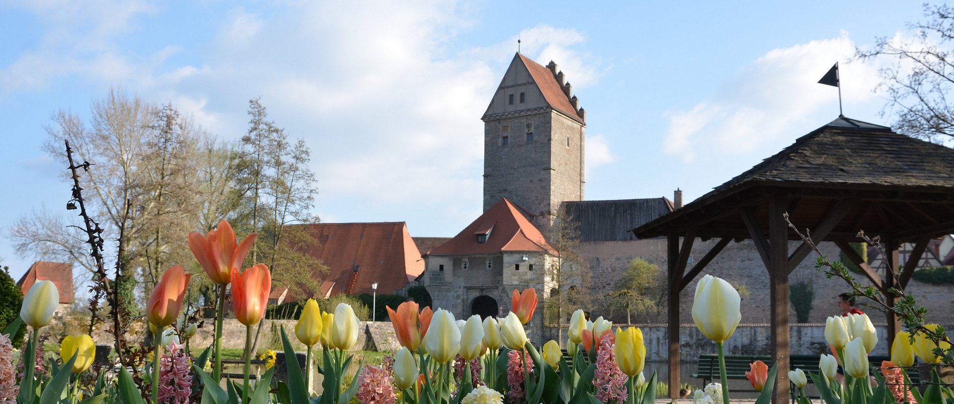 Blick auf die Altstadt von Dinkelsbühl