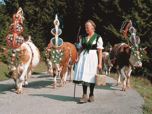 Almabtrieb Brauchtum in der Region Berchtesgadener Land Rupertiwinkel