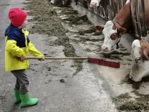 Hilfe bei der Stallarbeit © Ferienhof Preiß Hilfe bei der Stallarbeit