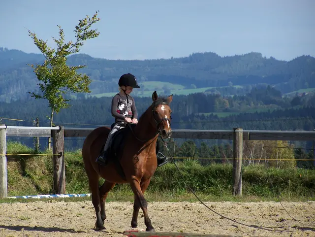 Reiten auf hofeigenen Reitplätzen - © Ferienhof Wiedemann Kind lernt auf eigenem Reitplatz reiten