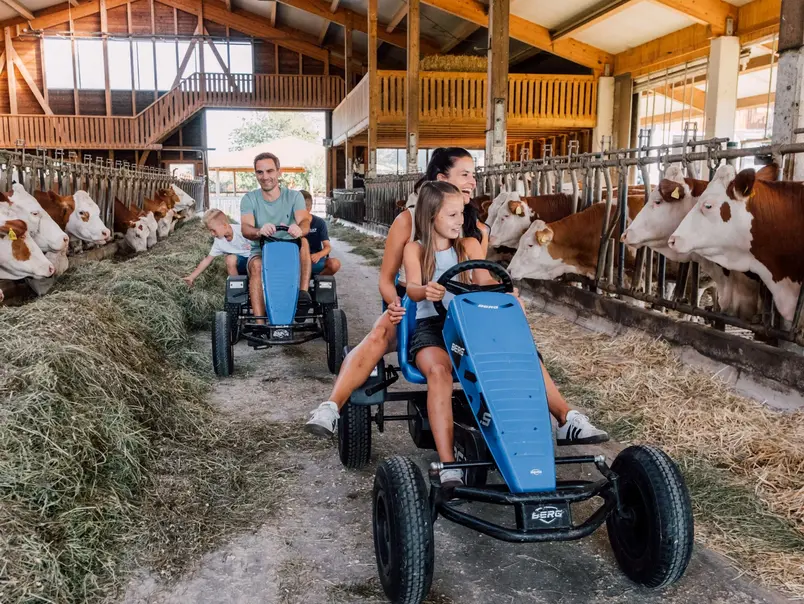 Stallerlebnisse im Kuhstall für die ganze Familie