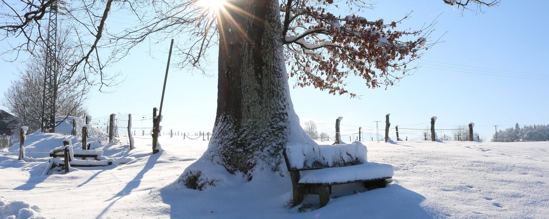 Winterlandschaft mit hohem Schnee