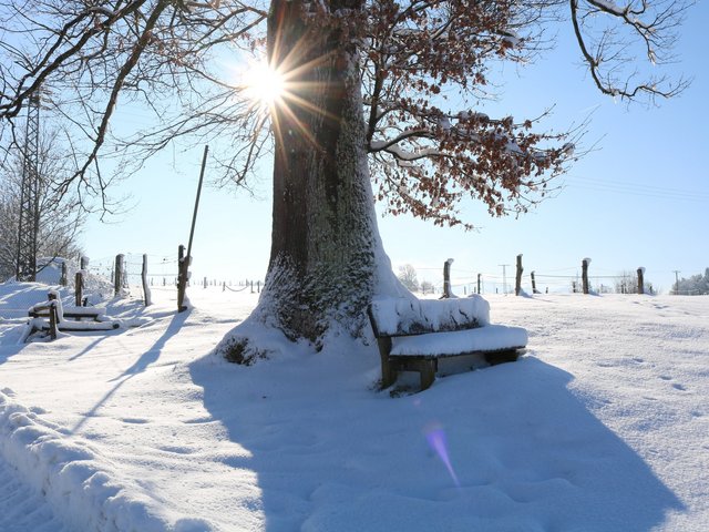 Winterlandschaft mit hohem Schnee