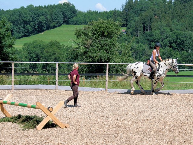 Ausritte auf hofeigenen Reitplätzen für Gäste auf dem Bauernhof