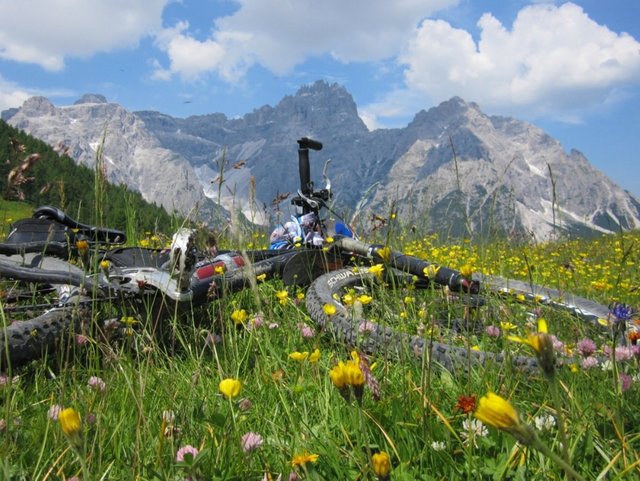 Mountainbike auf Bergwiese vor Bergpanorama im Allgäu