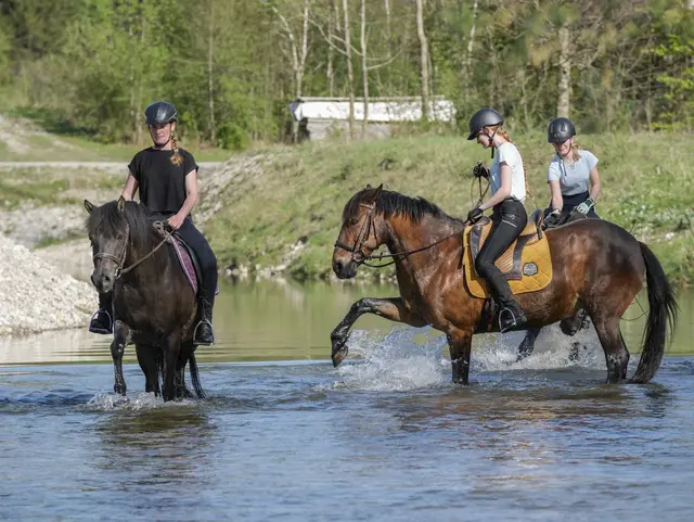 Besonderes Highlight Baderitt