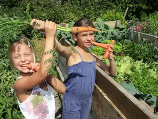 Frisches Obst und Gemüse aus dem Bauerngarten