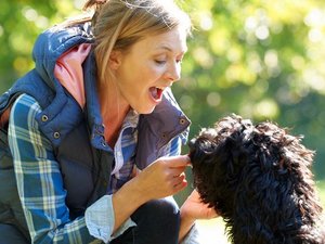 Wellnessurlaub mit Hund in Bayern Hund und Frauchen