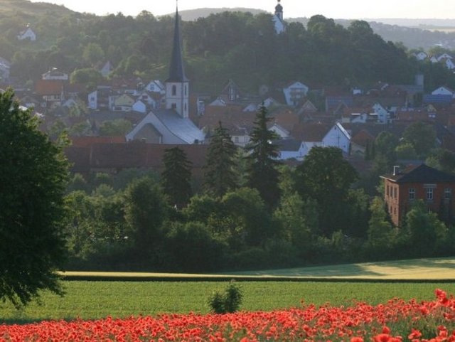 Mohnstreuwiese bei Hollstadt in der Rhön