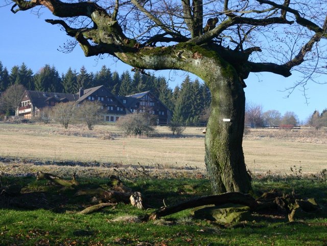 Sennhütte in der Rhön