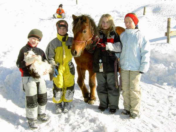 Idealer Winterurlaub für Familien mit Pony im Schnee auf dem Bauernhof