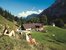 Wanderung zur Steineralm in der Region Berchtesgadener Land/Rupertiwinkel
