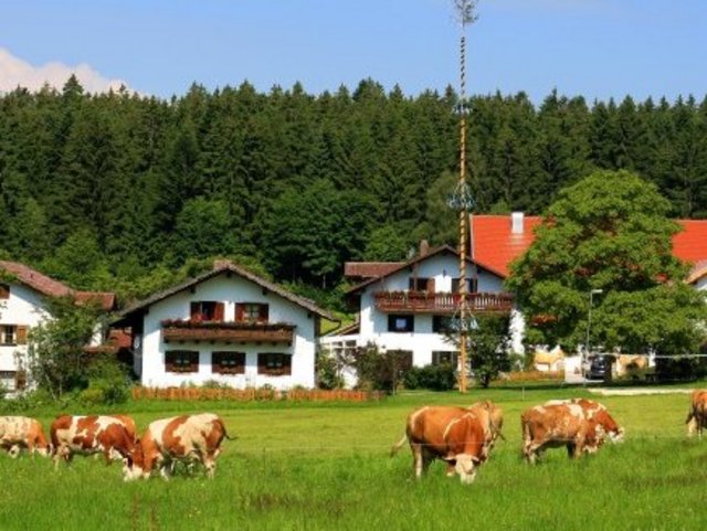 Herrliche Lage vom Wieshof  in Kirchberg im Bayerischen Wald