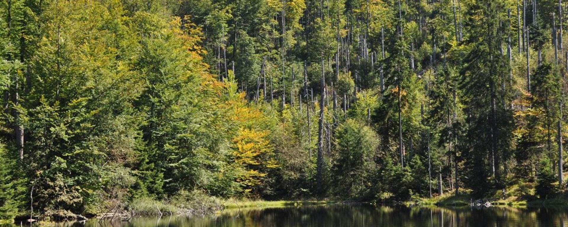 Martinsklause beim Lusen, Naturpark und Nationalpark Bayerischer Wald