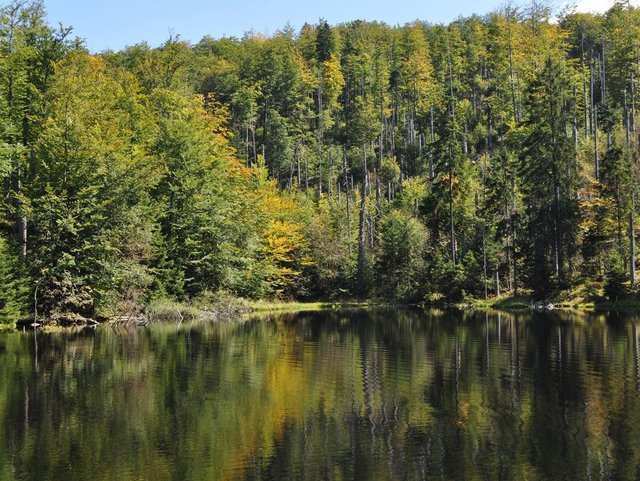 Martinsklause beim Lusen, Naturpark und Nationalpark Bayerischer Wald