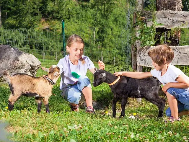 Kinder streicheln kleine Ziegen