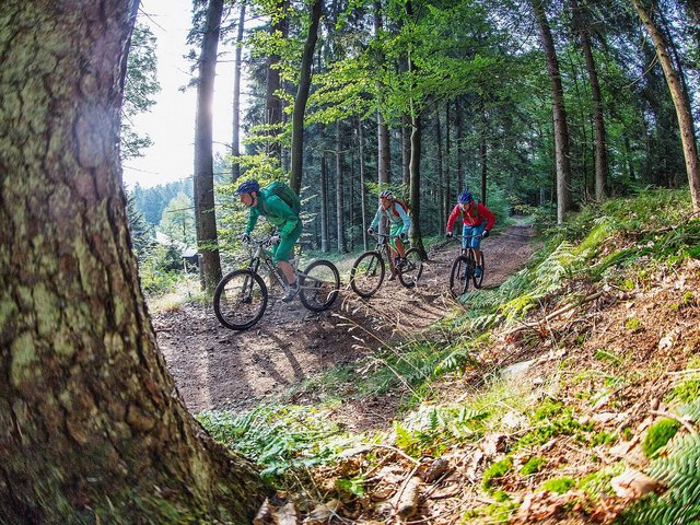 Radtour durch den Bayerischen Wald