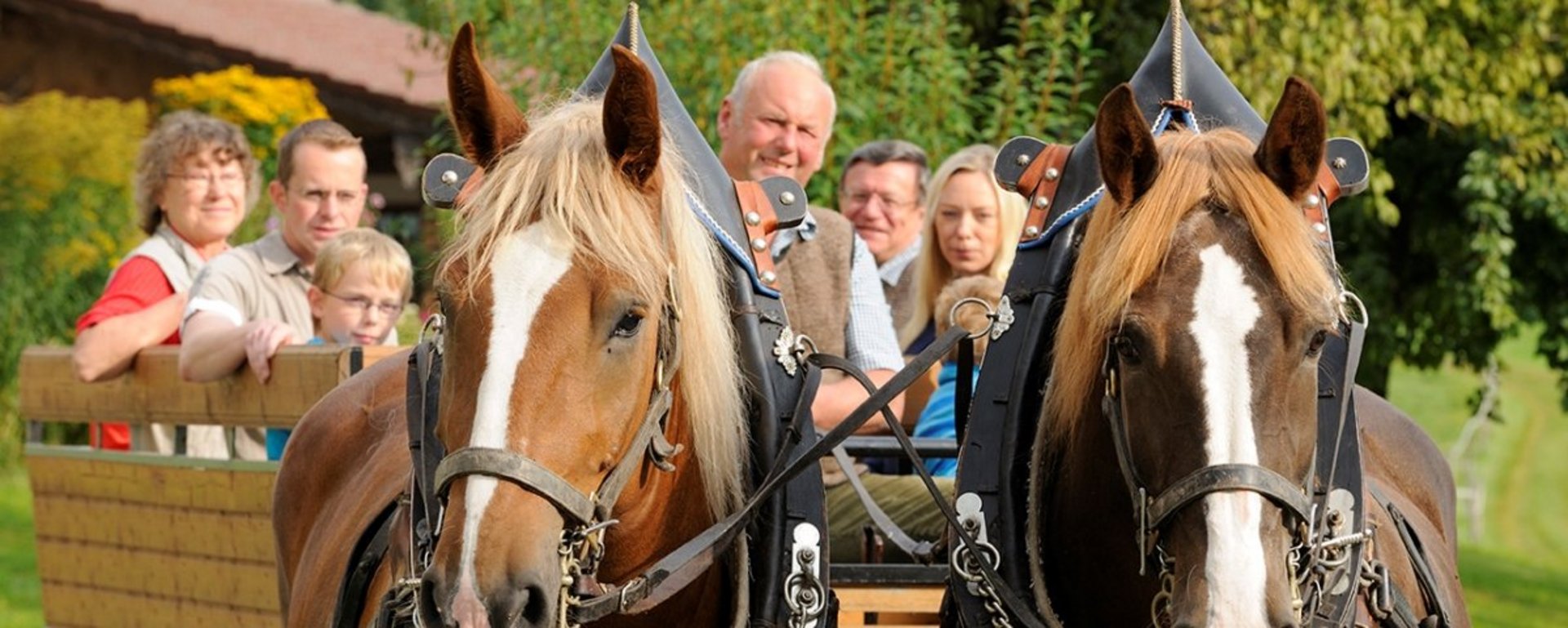 Kutschfahrt auf dem Bauernhof in der Region Chiemsee