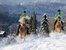 Ausritt im Winter mit dem Haflinger Pferd durch den Schnee beim Bauernhof aus der Region Chiemsee