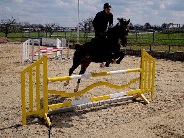 Springreiten auch auf dem Bauernhof