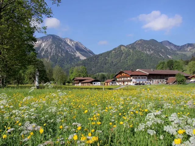 Blütefeld am Hof