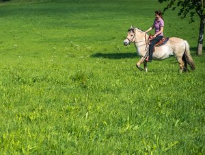 Urlaub mit Reitmöglichkeit © Andreas Kern Urlaub mit Reitmöglichkeit für Groß und Klein auf Ferienhöfen in Bayern