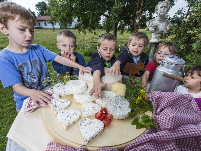 Mozzarella machen auf dem Berghof Walser im Pfaffenwinkel Oberbayern