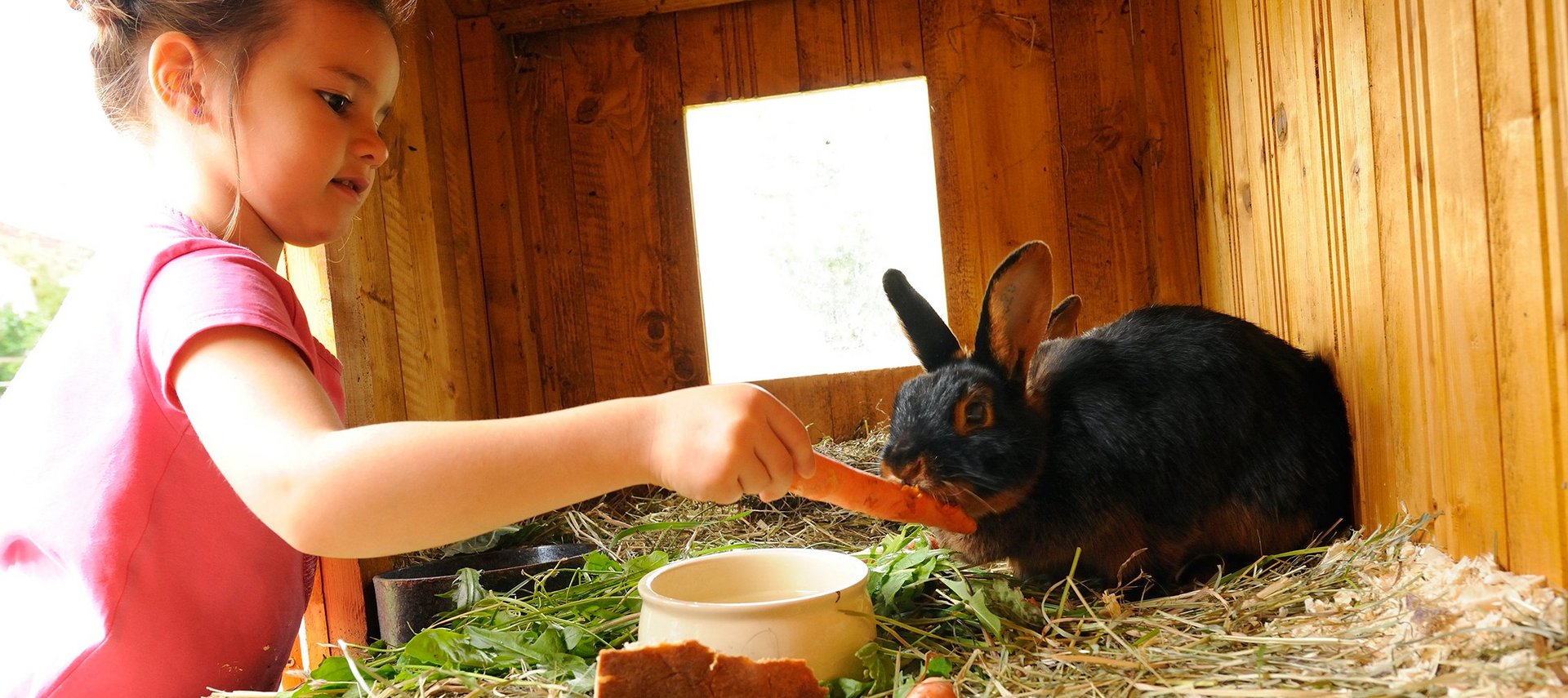 Kaninchen füttern auf dem Bauernhof im Naturpark Altmühltal