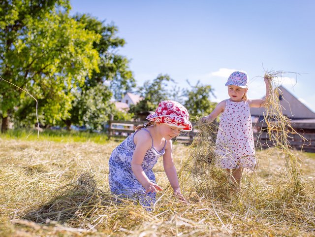 Kinder im Heu beim Feriendorf Nehmeier in Haundorf