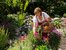 Heilpflanzen und Küchenkräuter frisch aus dem Garten vom Bauernhof aus der Region Chiemsee