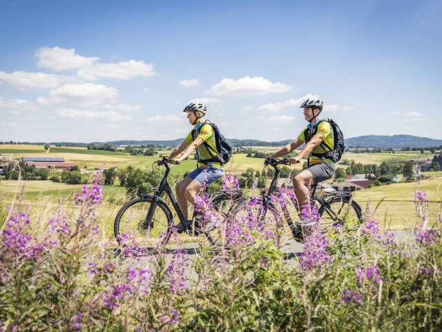 Radeln auf dem Bockl-Radweg im Oberpfälzer Wald