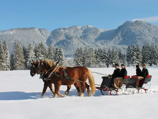 Pferdeschlittenfahrten im Schnee