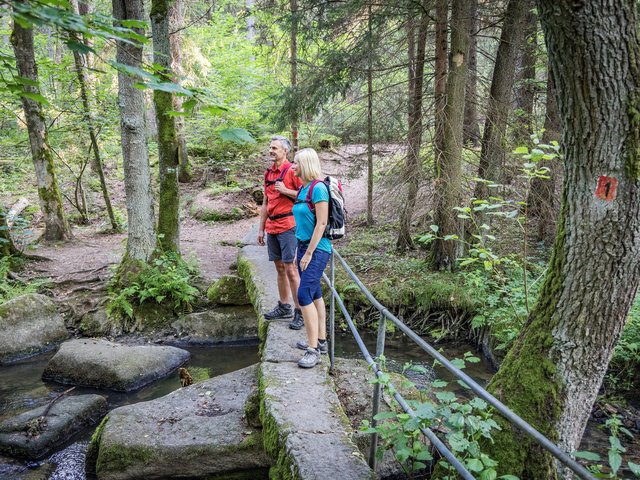 Wandern im Lerautal im Oberpfälzer Wald