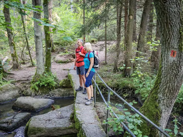 Wandern im Lerautal im Oberpfälzer Wald