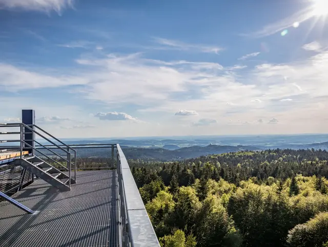 Phantastische Aussicht auf den Oberpfälzer Wald vom Aussichtsturm am Havran