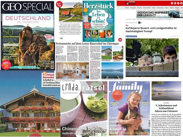 Collage von Presseartikeln über den Blauen Gockel