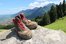 Wanderschuhe auf Felsen vor Bergpanorama