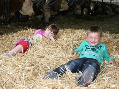 Kinder im Stroh © Noudlsbergerhof Spaß im Stroh auf dem Kinderbauernhof im Fränkischen Seenland