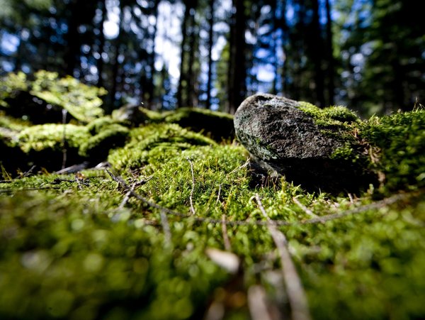 Höhlen und Natur in Bayern